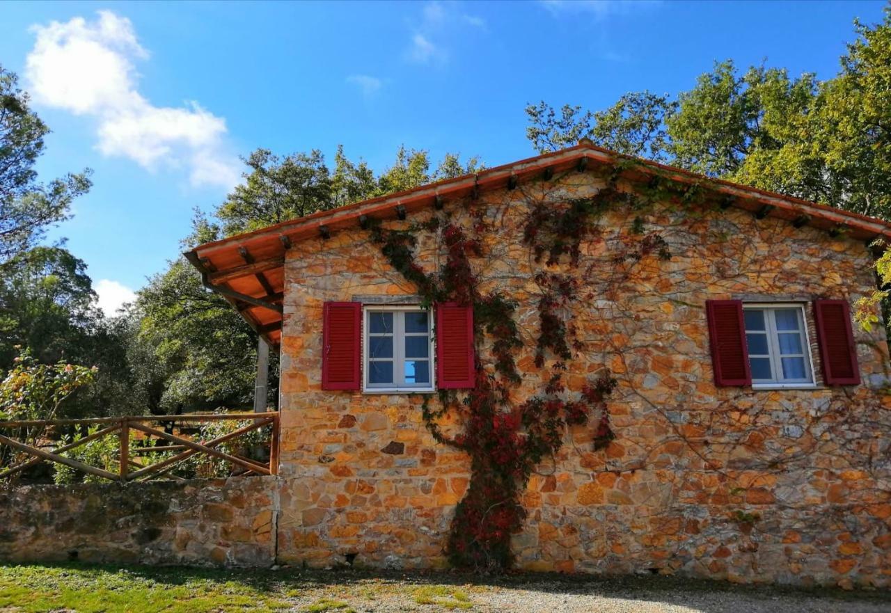 Il Daino Bianco Country Hotel Манчиано Экстерьер фото